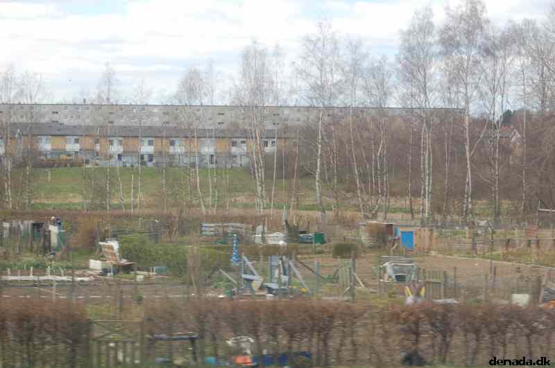 * Image 72