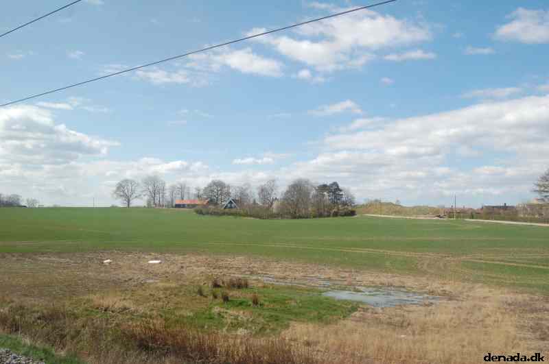 * Image 81