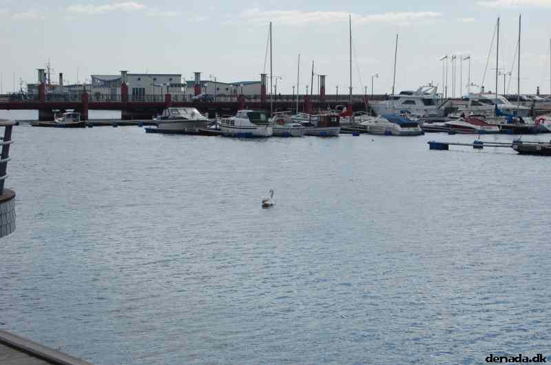 * Image 142