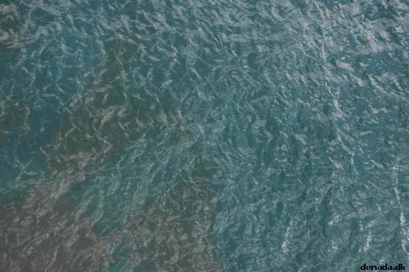 * Image 166