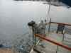 SANY0803.JPG - 2008:04:19 14:40:52