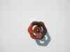 SANY0819.JPG - 2008:04:19 15:53:41