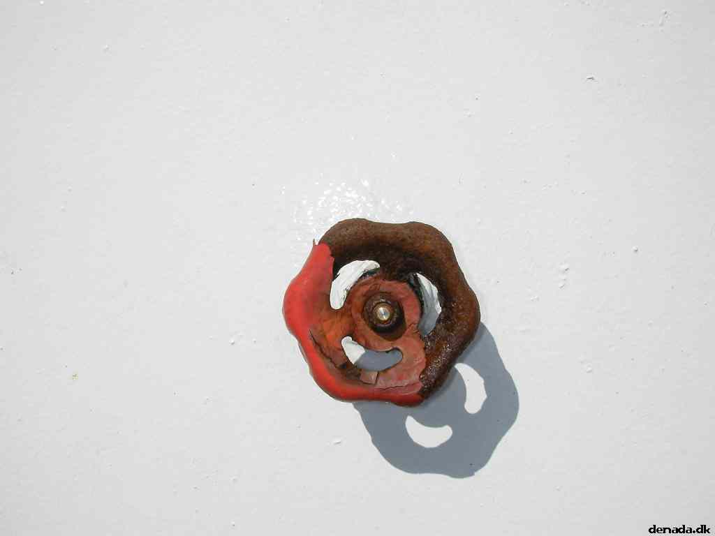 * Image 29