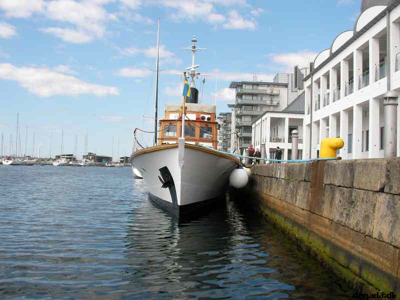 * Image 20
