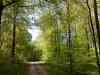 05052008189.jpg - 2008:05:05 12:42:36