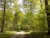 05052008190.jpg - 2008:05:05 12:42:46