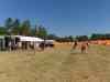 20080703_094826.jpg - 2008:07:03 09:48:26