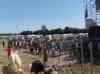 20080703_142425.jpg - 2008:07:03 14:24:25