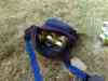 20080701_155541.jpg - 2008:07:01 15:55:41
