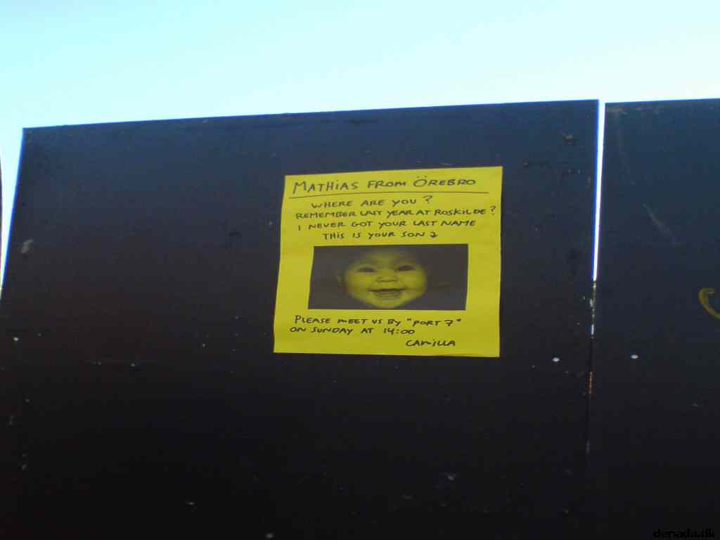 * Image 31
