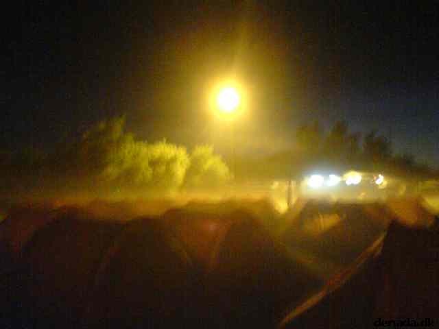 * Image 12