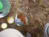 SANY0907.JPG - 2008:08:12 14:46:48