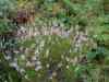 SANY0936.JPG - 2008:08:13 18:07:22