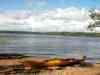 SANY0952.JPG - 2008:08:14 16:24:23