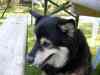 SANY1014.JPG - 2008:08:16 17:15:58