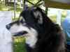 SANY1015.JPG - 2008:08:16 17:16:07