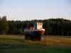 SANY1029.JPG - 2008:08:16 20:28:58