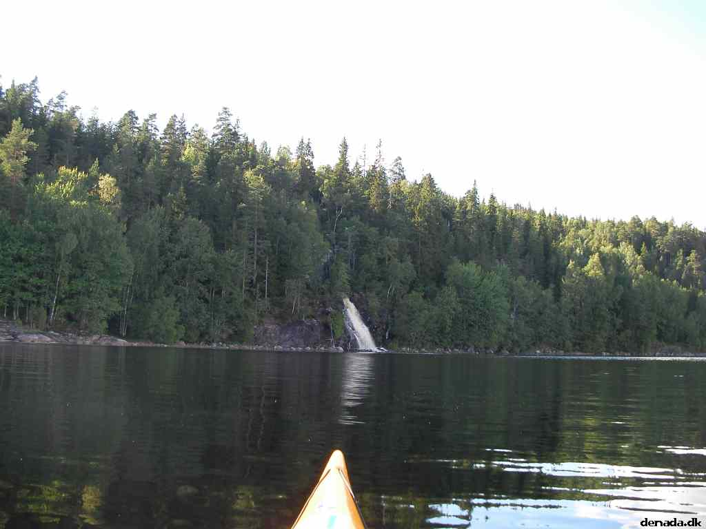 * Image 5