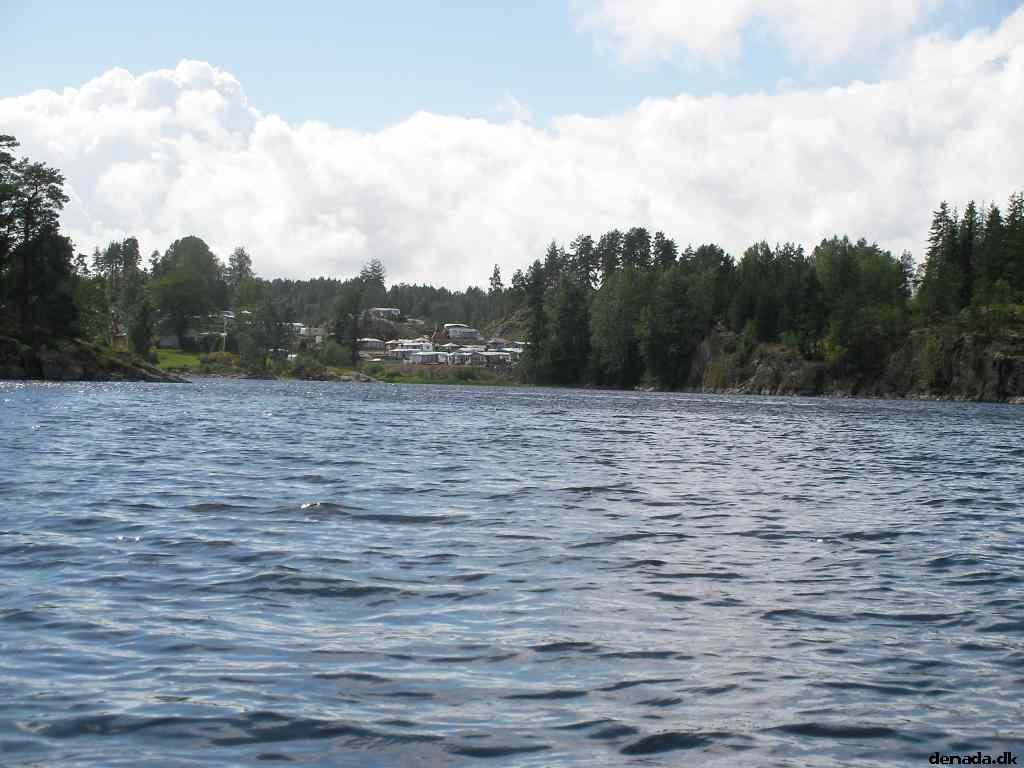 * Image 11