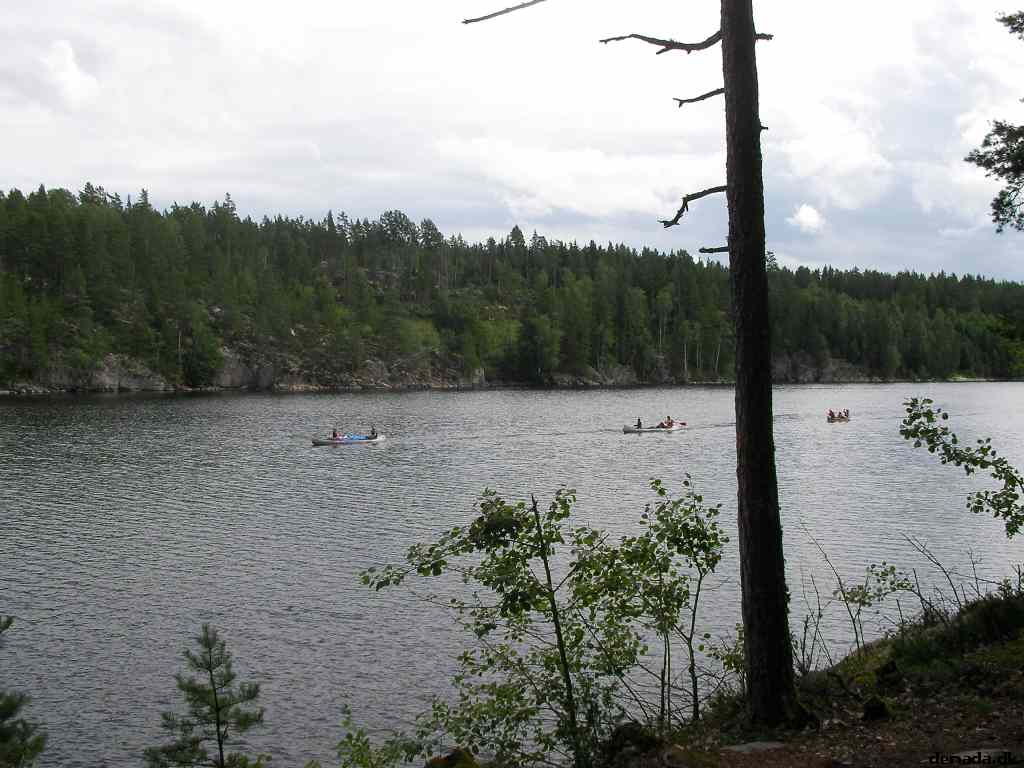* Image 15