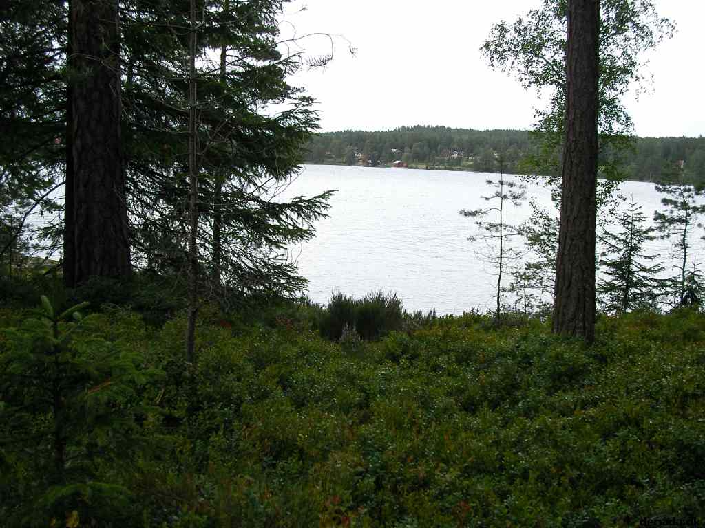 * Image 28