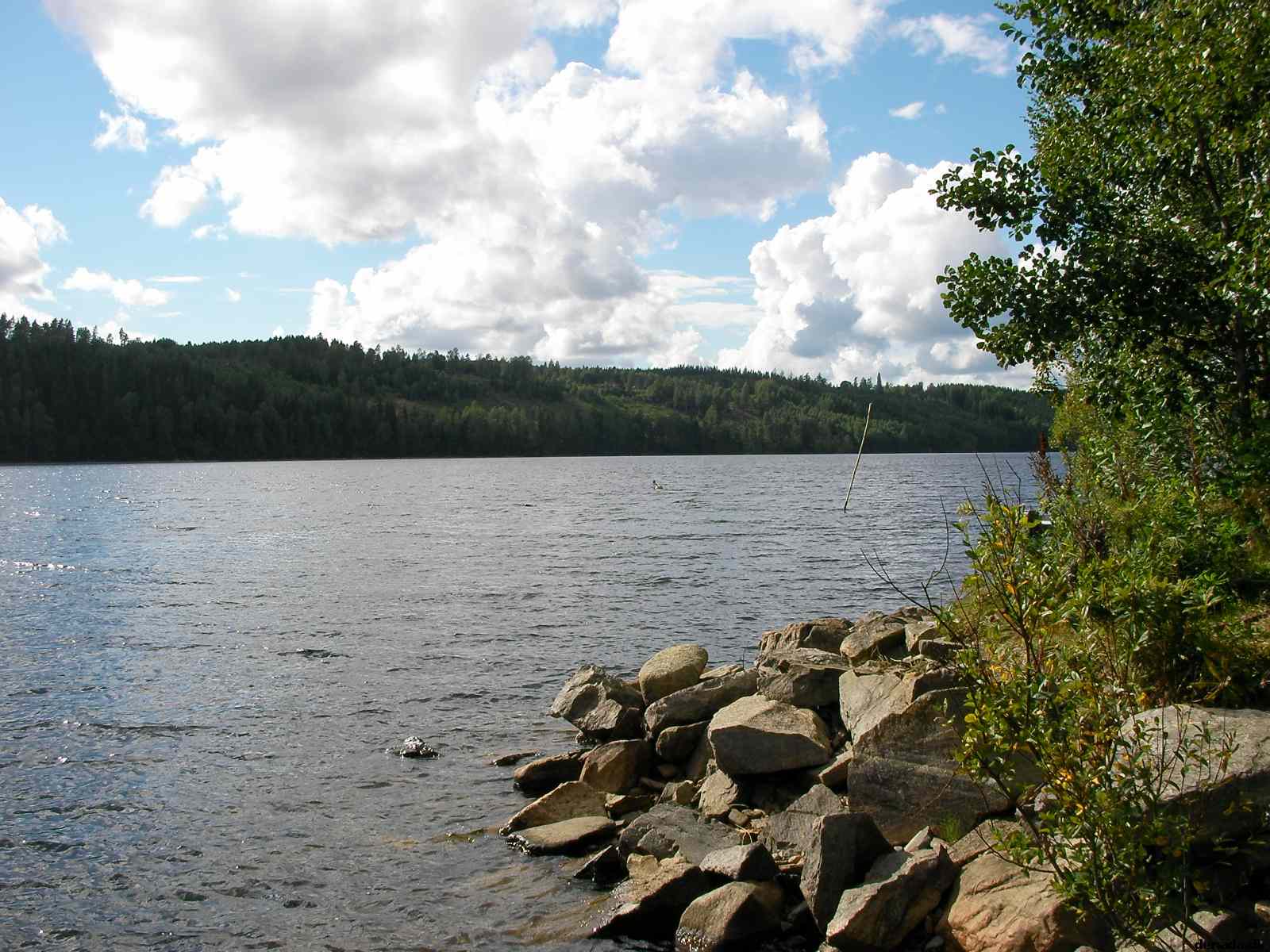 * Image 4