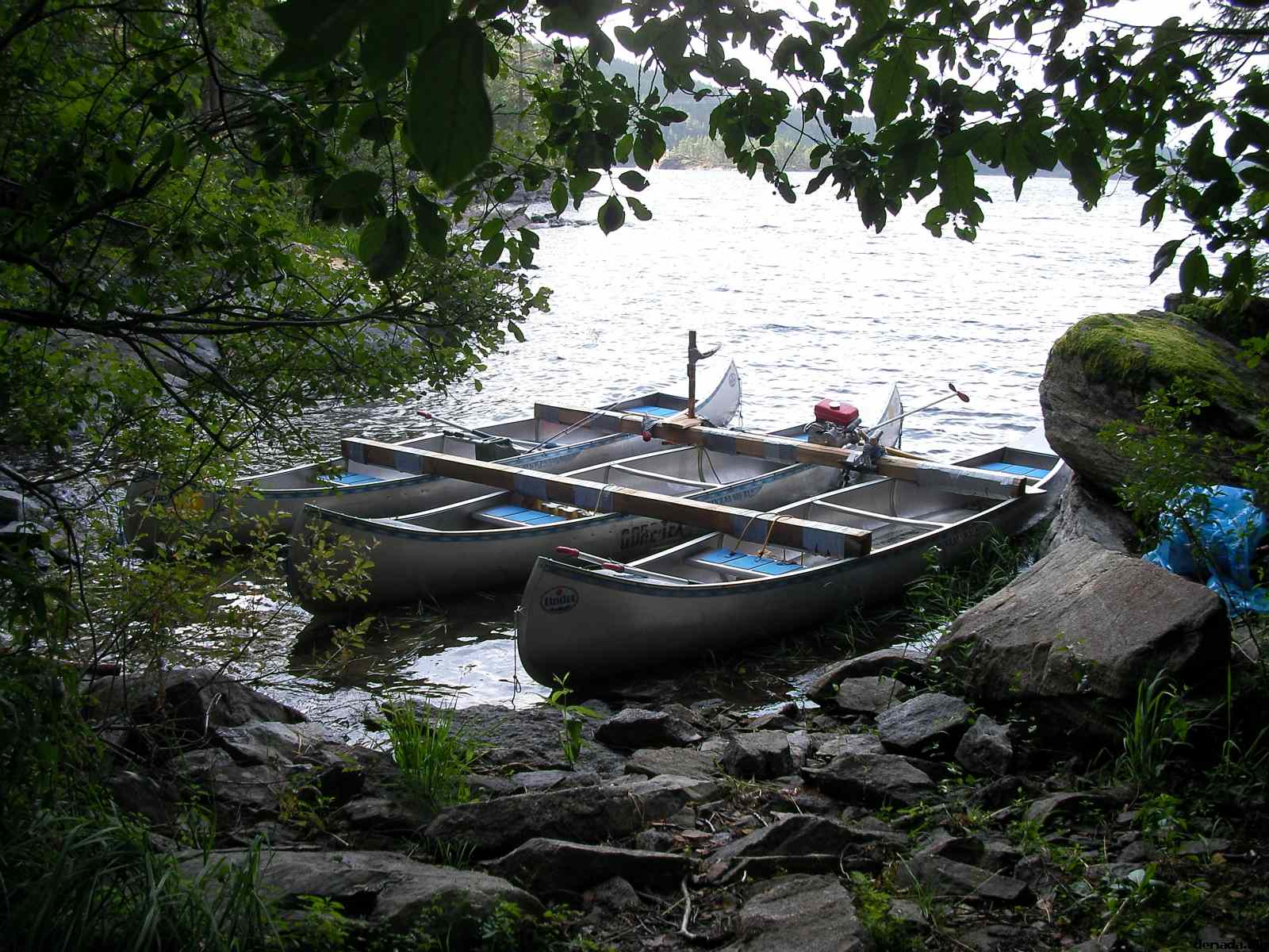 * Image 13