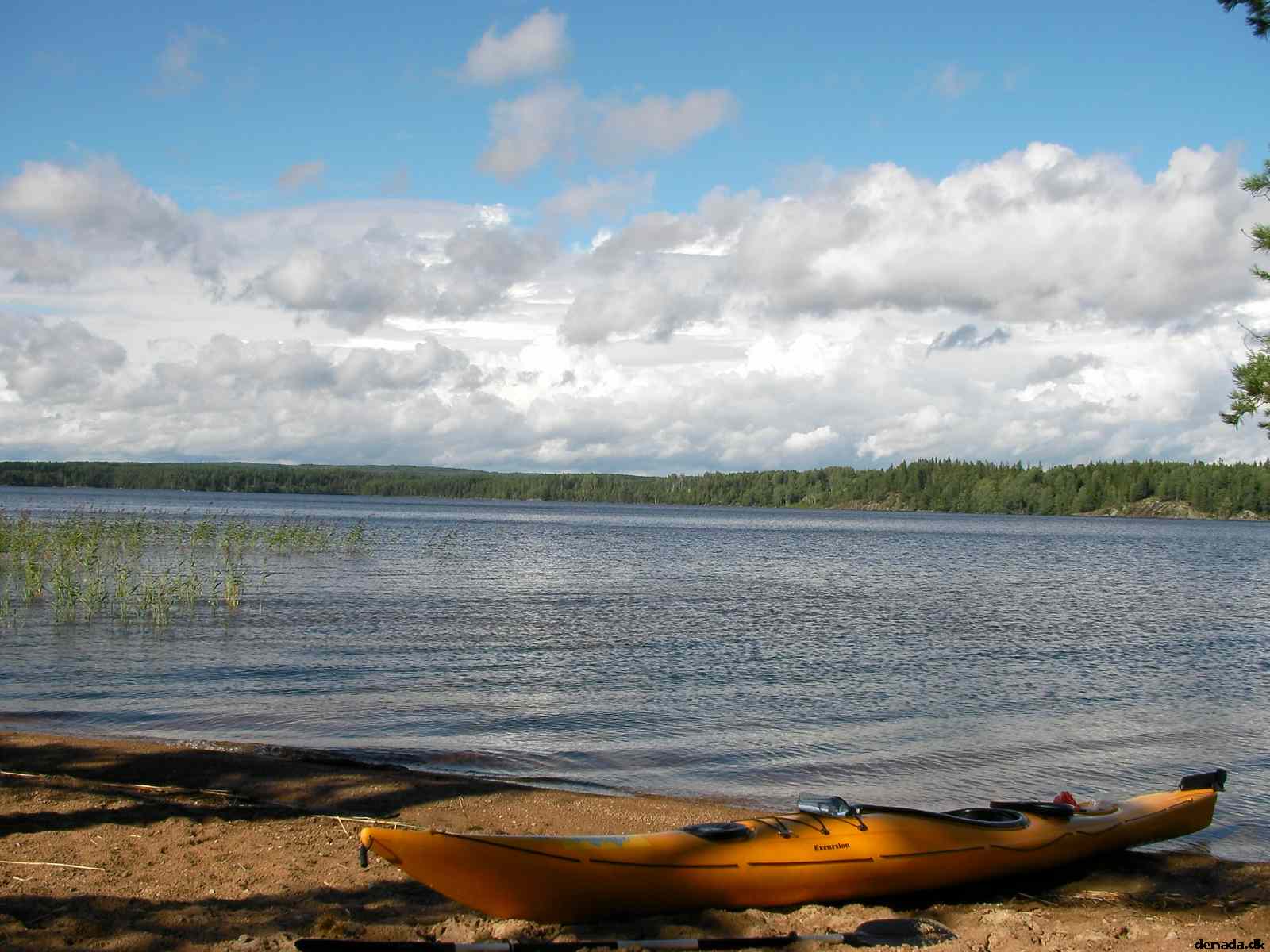 * Image 39