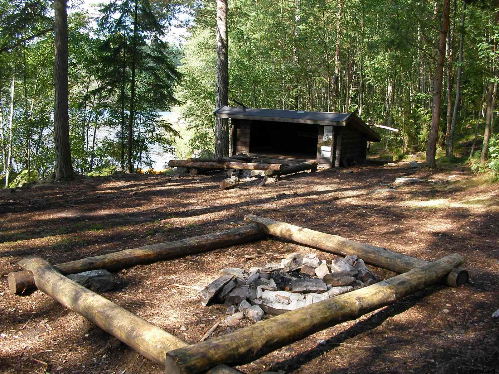 * Image 49