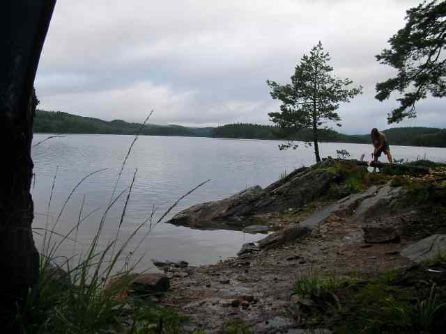 * Image 8