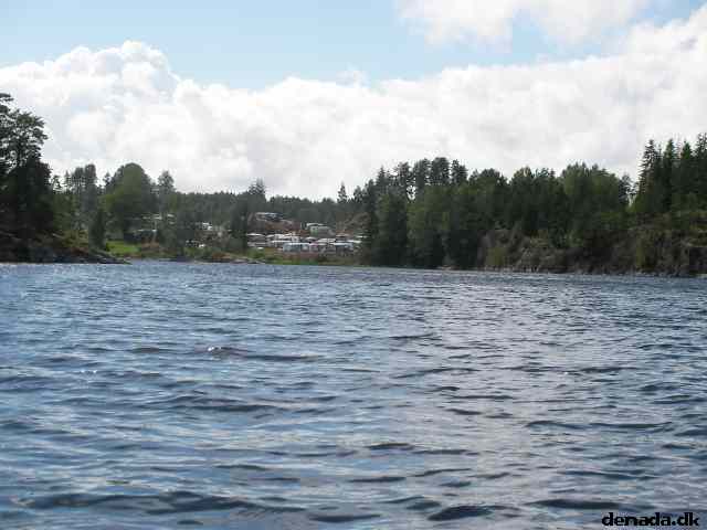* Image 11