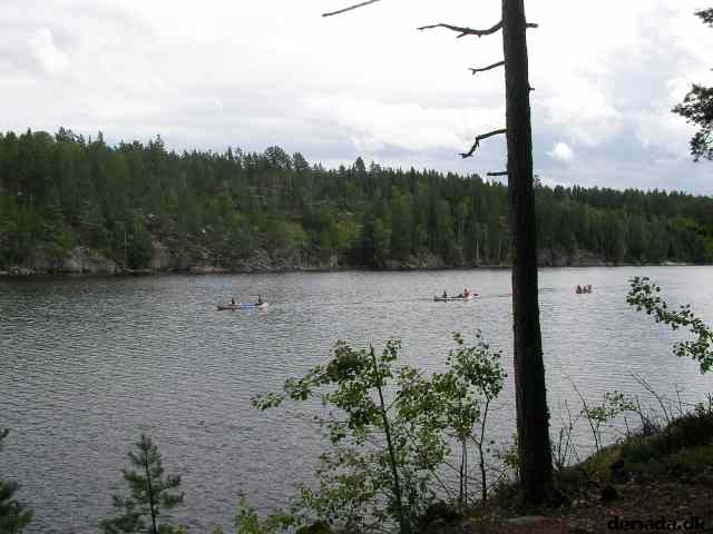 * Image 15