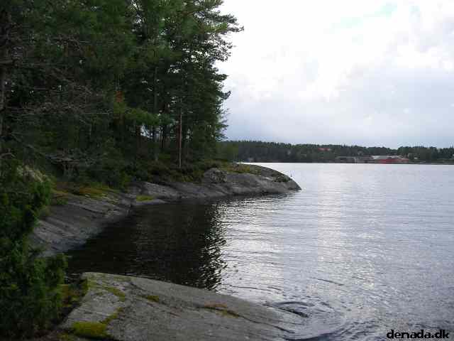 * Image 25