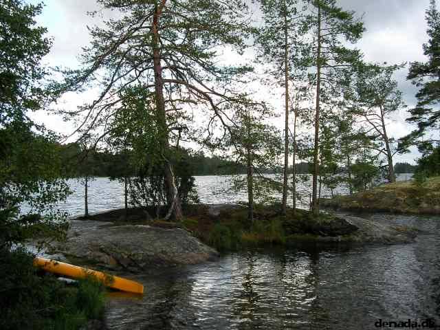 * Image 31