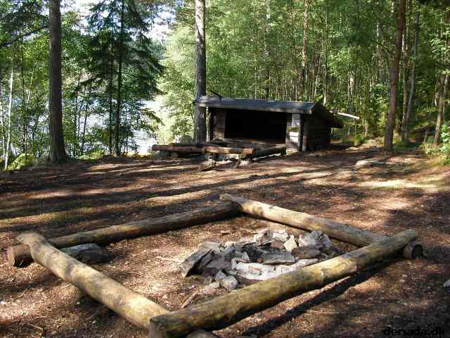 * Image 49