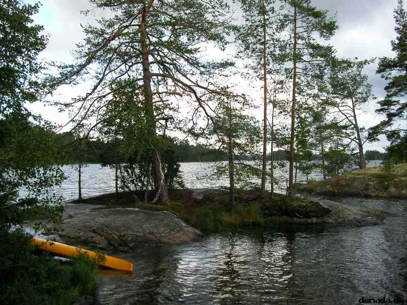 * Image 31