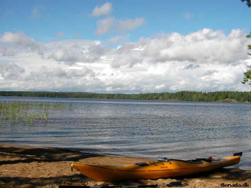 * Image 39