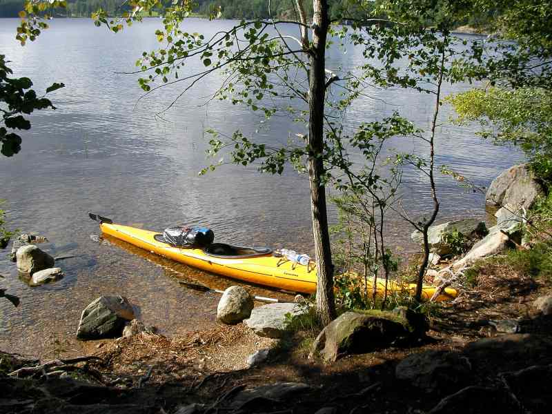 * Image 47