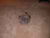20080825_190806.jpg - 2008:08:25 19:08:06