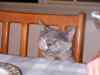 20080825_203435.jpg - 2008:08:25 20:34:35