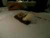 20080827_223152.jpg - 2008:08:27 22:31:52