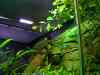 20080828_143639.jpg - 2008:08:28 14:36:39