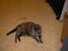 20080828_200551.jpg - 2008:08:28 20:05:51