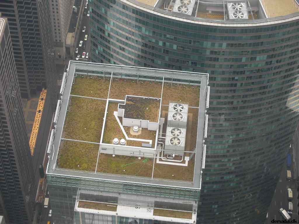 * Image 99