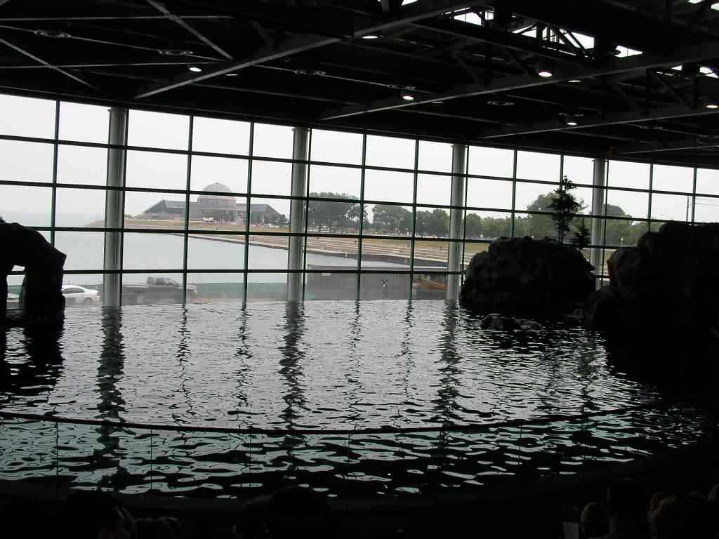 * Image 113