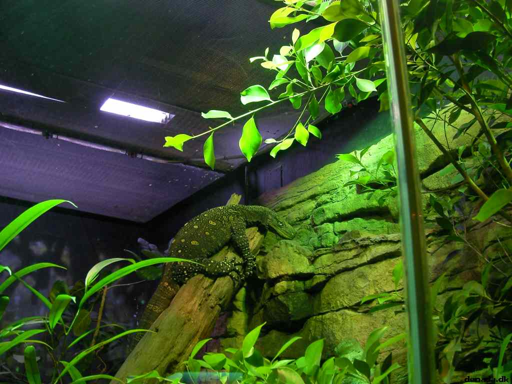 * Image 114