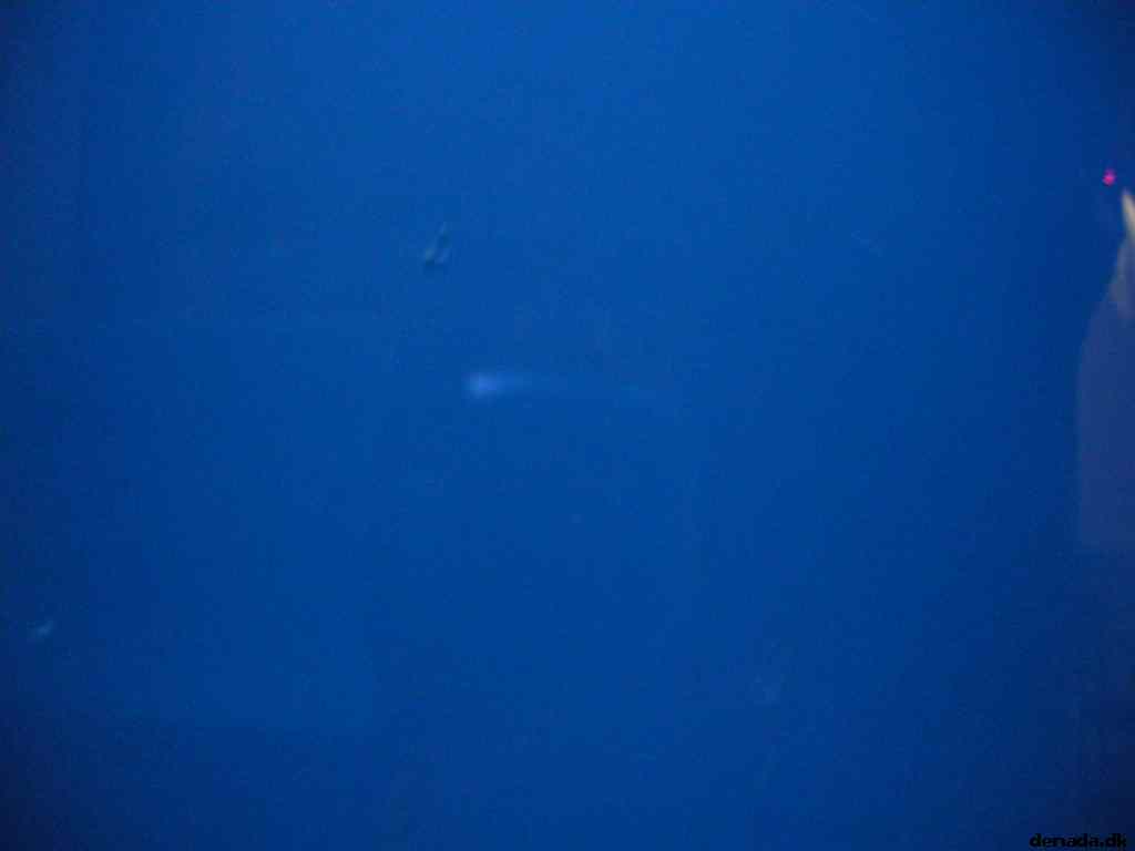 * Image 115