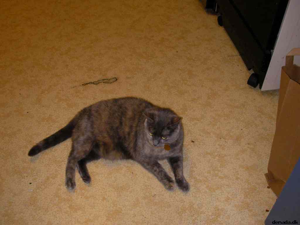 * Image 122