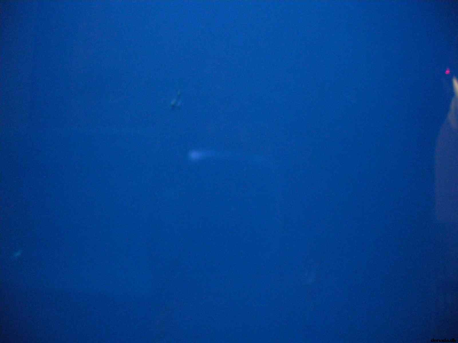 * Image 115