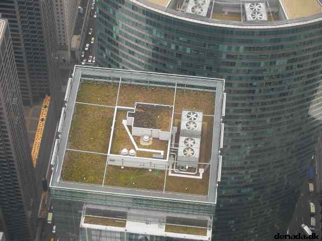 * Image 99